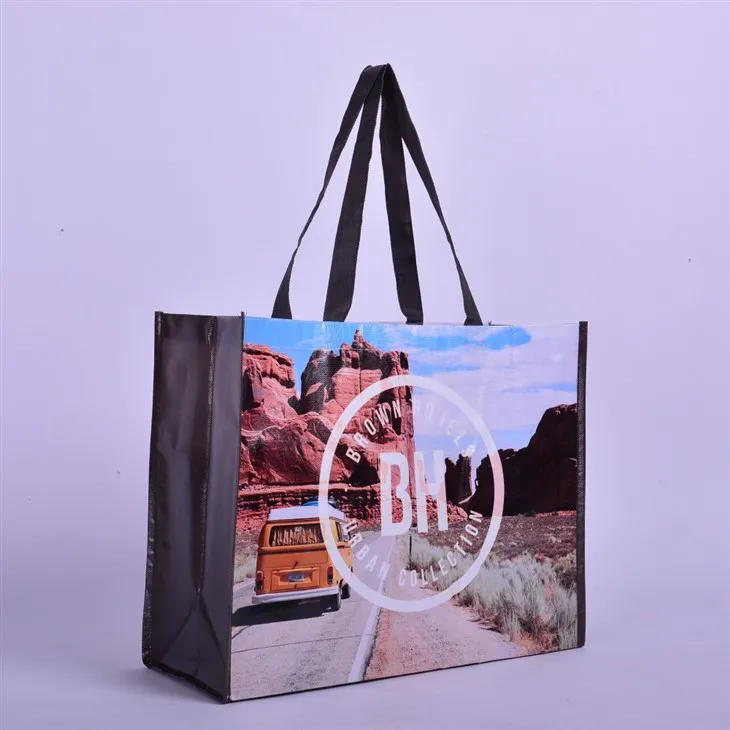 Túi hàng tạp hóa không dệt có thương hiệu