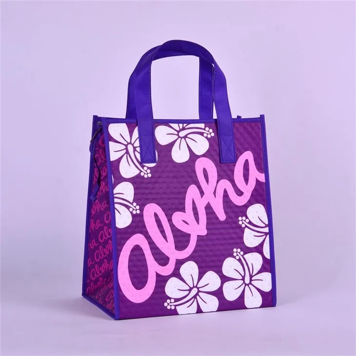 Túi đựng đồ ăn trưa cách nhiệt