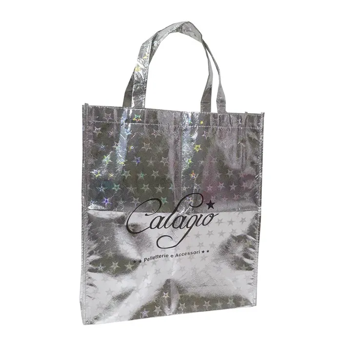 Túi Polypropylen không dệt nhiều lớp