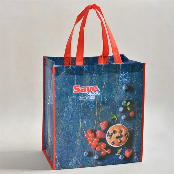 Túi tạp hóa không dệt tái sử dụng